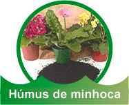 H&uacute;mus de Minhoca
