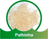 Palhinha