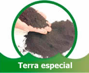 Terra especial adubada