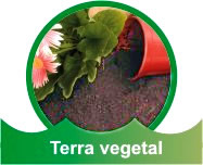 Terra vegetal