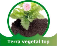 Terra vegetal adubada